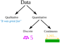 Qualitative quantitative data1.png
