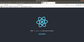The default application generated by the create-react-app command.png